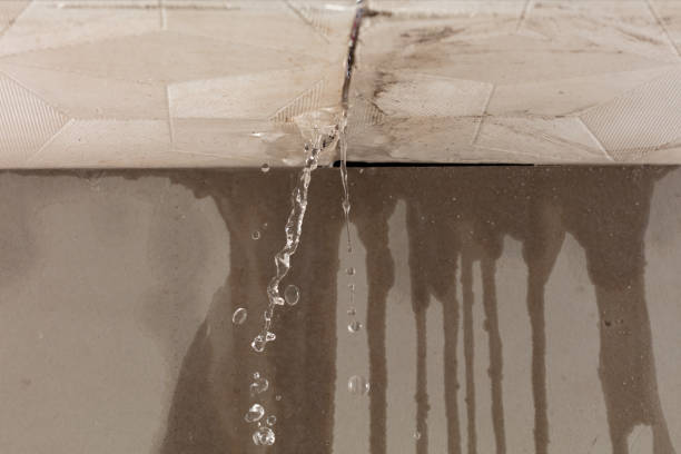 Professional Flood Damage Cleanup technician working in Severance, CO